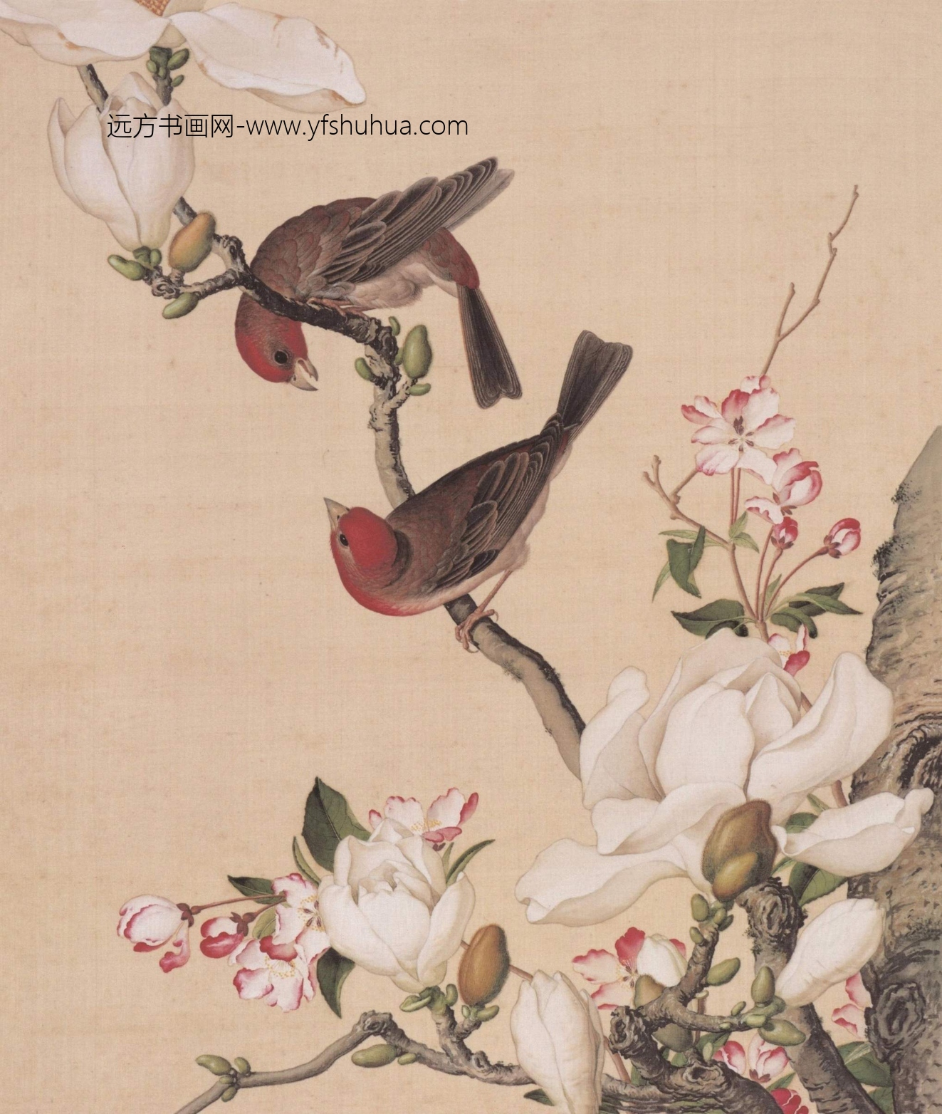 清_郎世宁_仙萼长春图HD_3 清_郎世宁_仙萼长春图HD_3