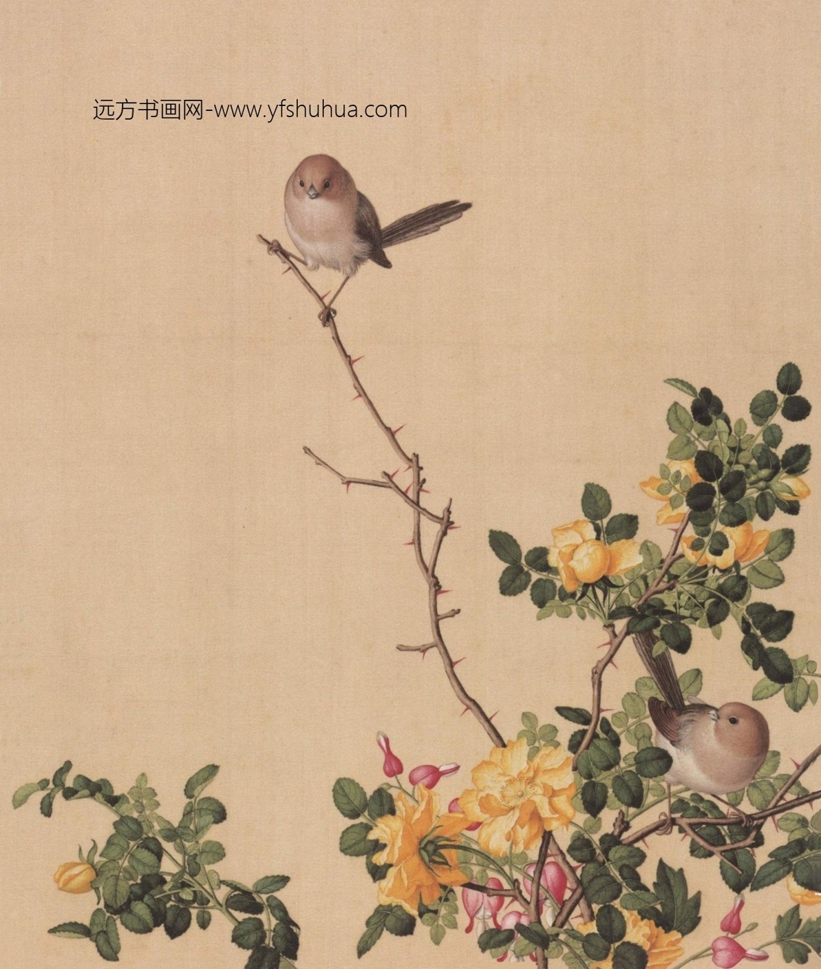 清_郎世宁_仙萼长春图HD_5 清_郎世宁_仙萼长春图HD_5
