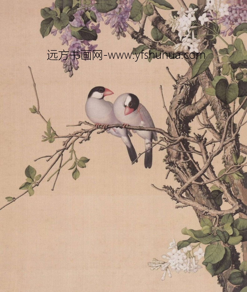 清_郎世宁_仙萼长春图HD_9 清_郎世宁_仙萼长春图HD_9