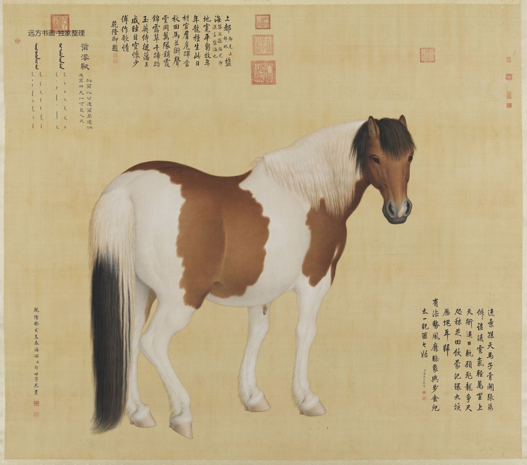 清_郎世宁_十骏图nie云驶轴