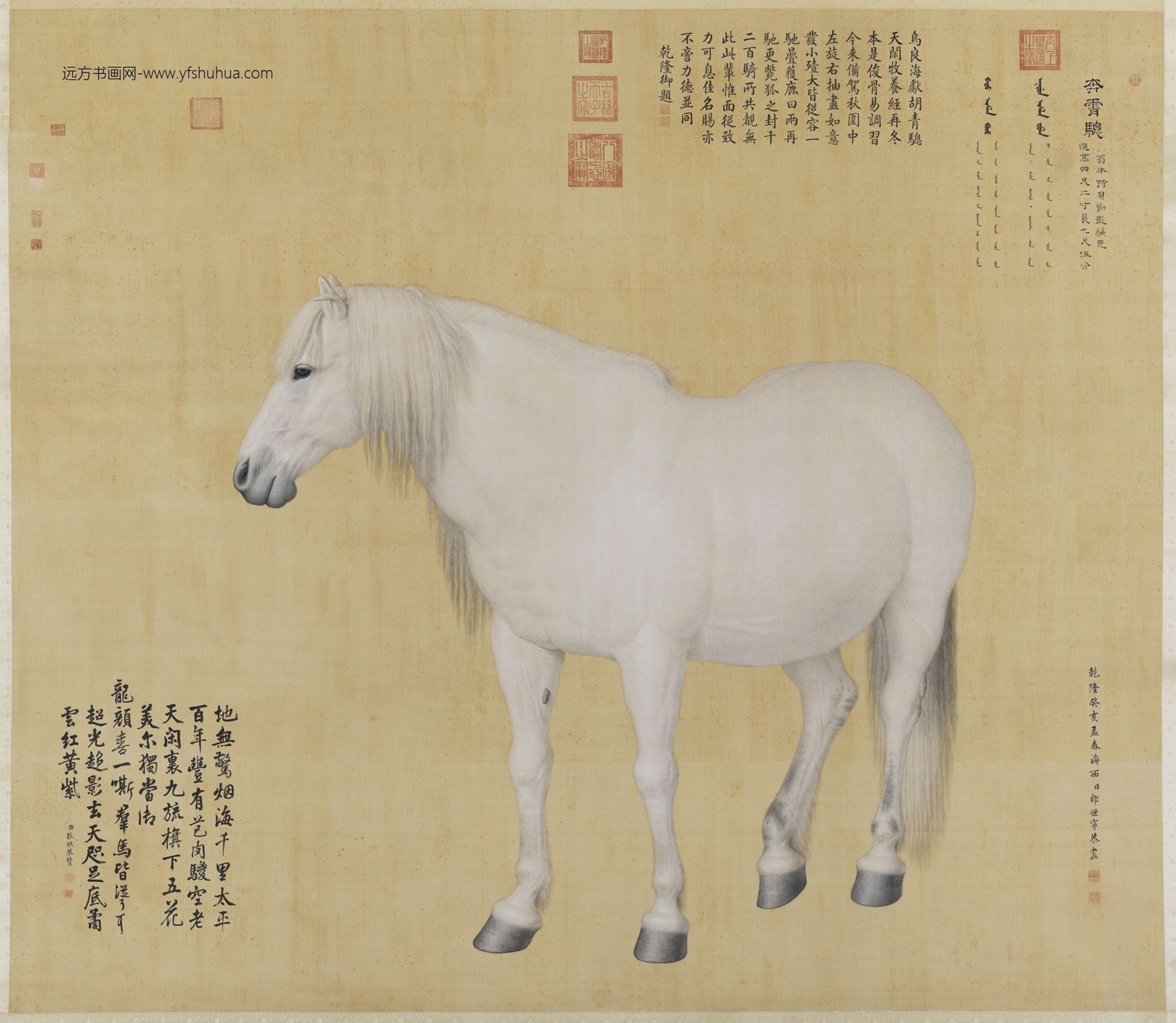清_郎世宁_十骏图奔霄骢轴