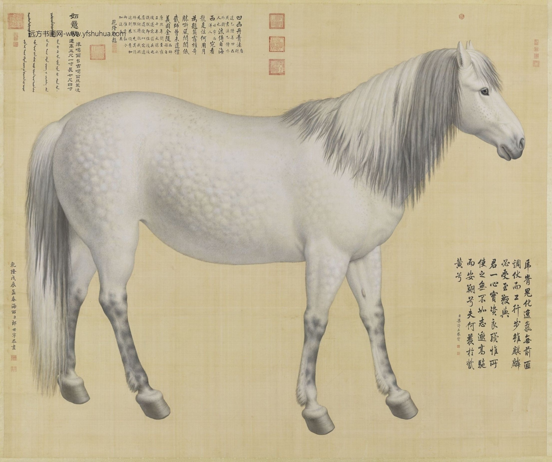 清_郎世宁_十骏图如意骢轴
