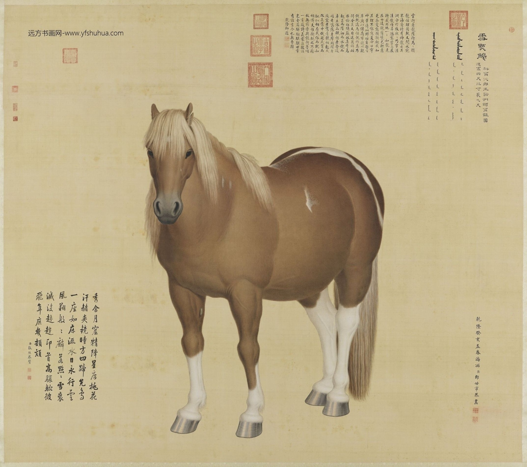 清_郎世宁_十骏图雪点雕轴
