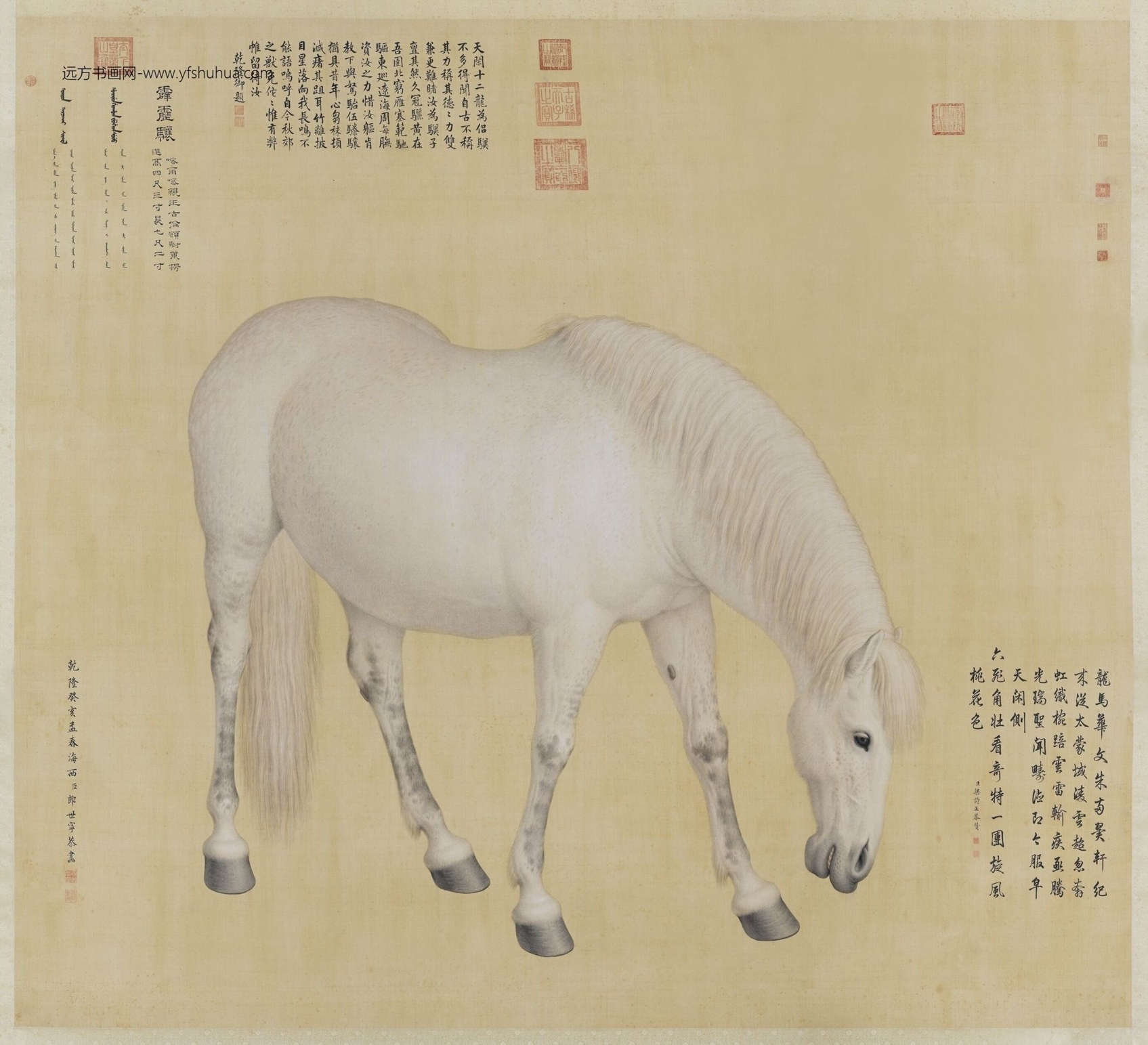 清_郎世宁_十骏图霹雳骧轴