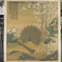 清_郎世宁_孔雀开屏轴