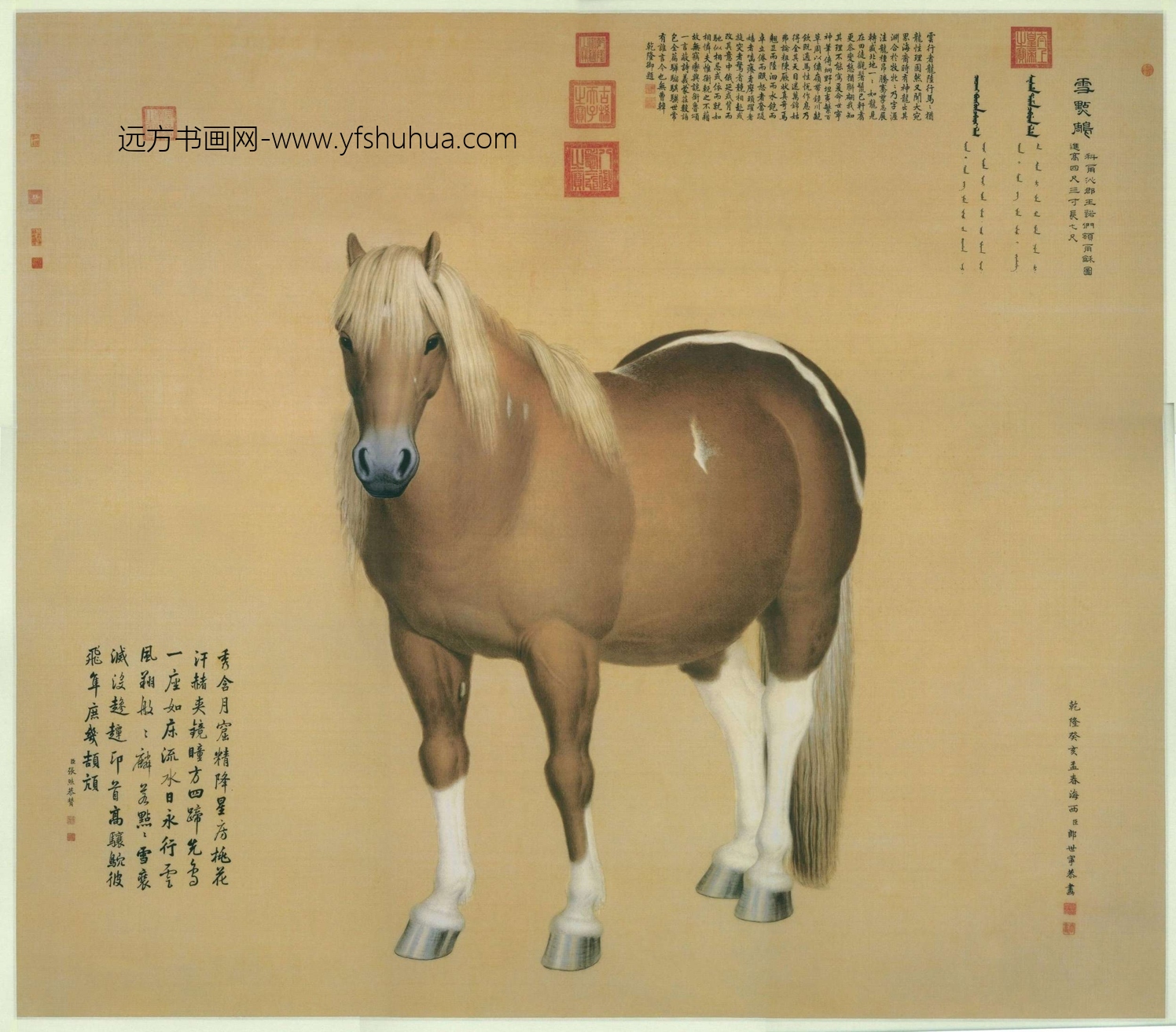 清_郎世宁_雪点雕 清_郎世宁_雪点雕