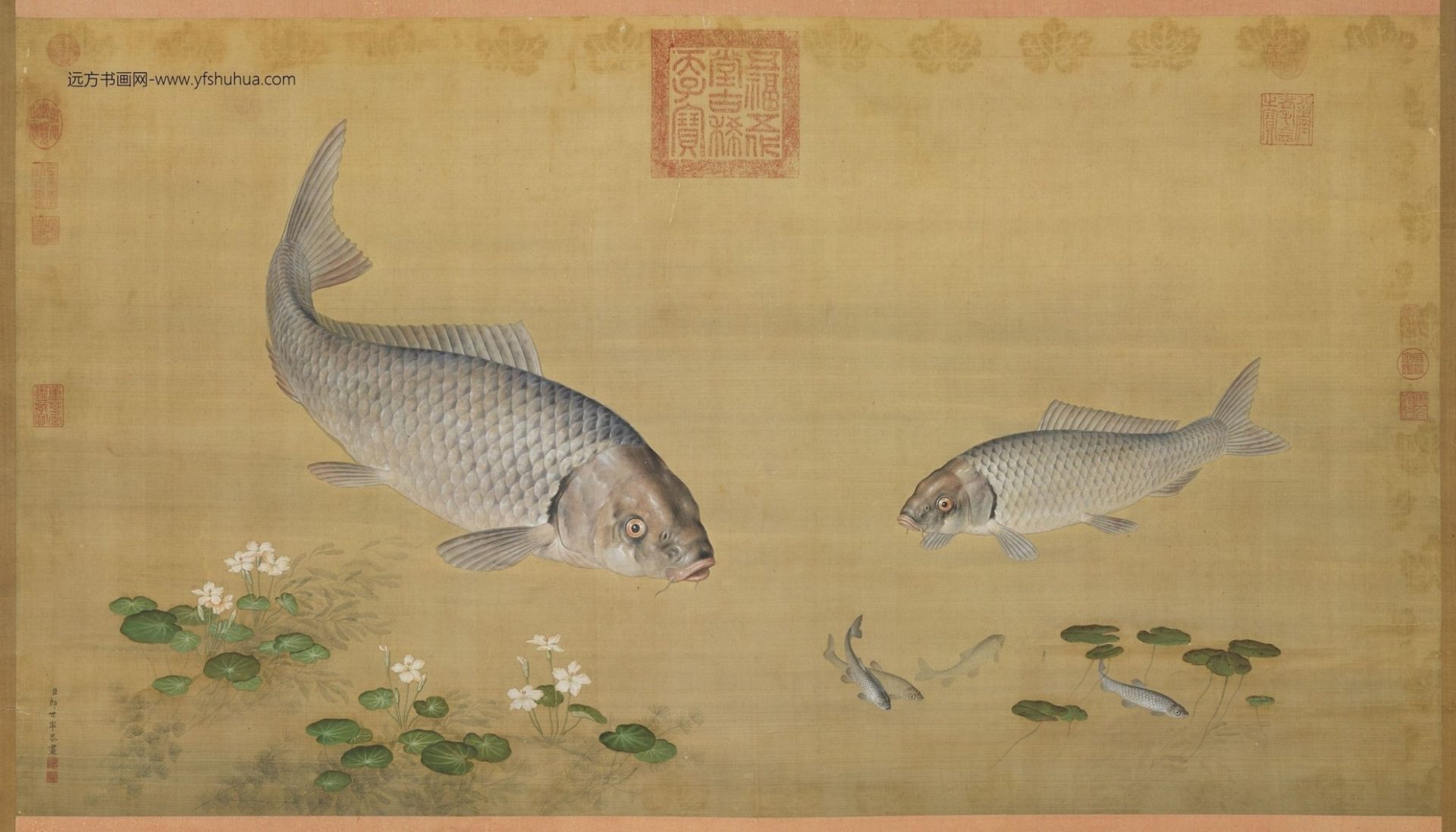 清_郎世宁_鱼藻图