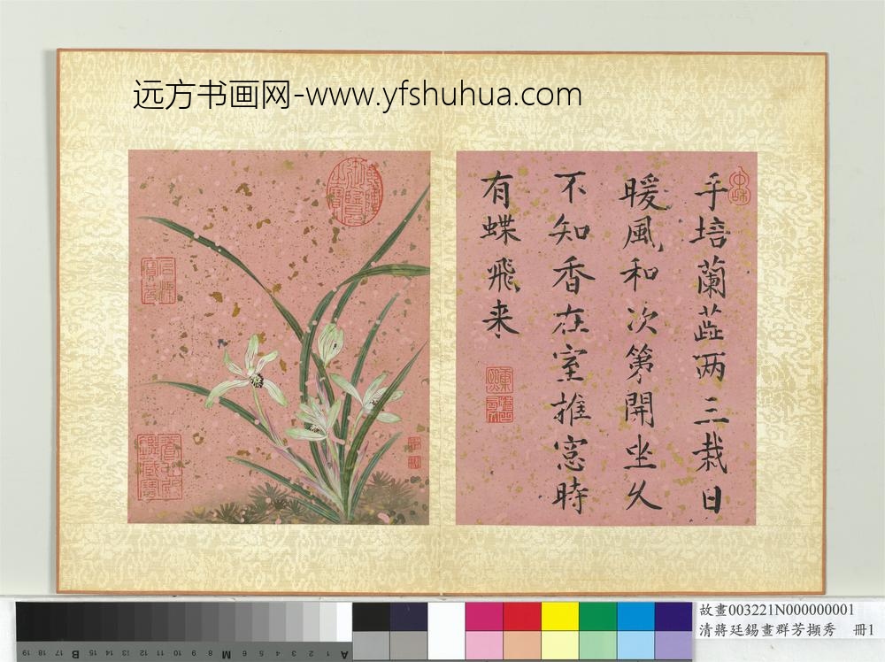 清蒋廷锡画群芳撷秀册兰花 清蒋廷锡画群芳撷秀册兰花