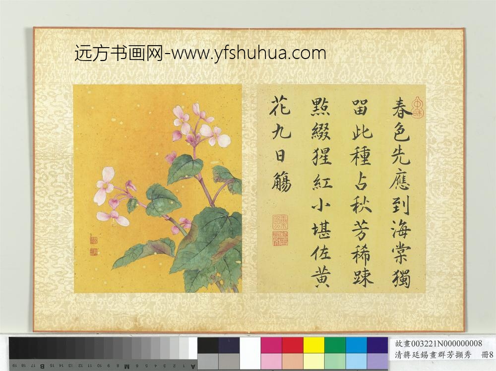 清蒋廷锡画群芳撷秀册秋海棠 清蒋廷锡画群芳撷秀册秋海棠