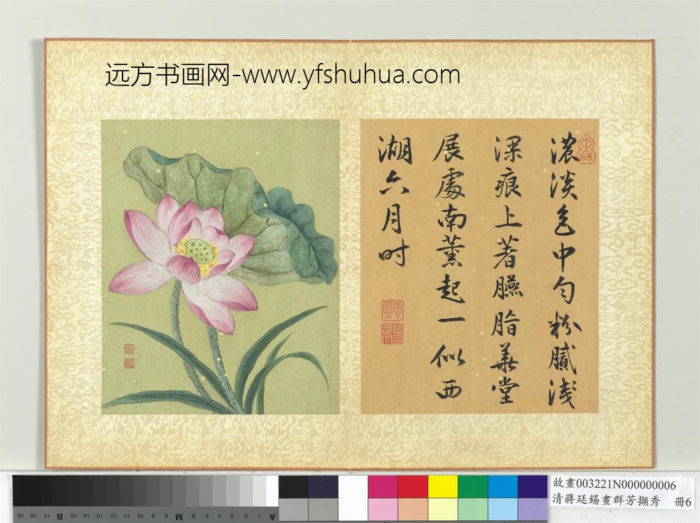 清蒋廷锡画群芳撷秀册荷花 清蒋廷锡画群芳撷秀册荷花