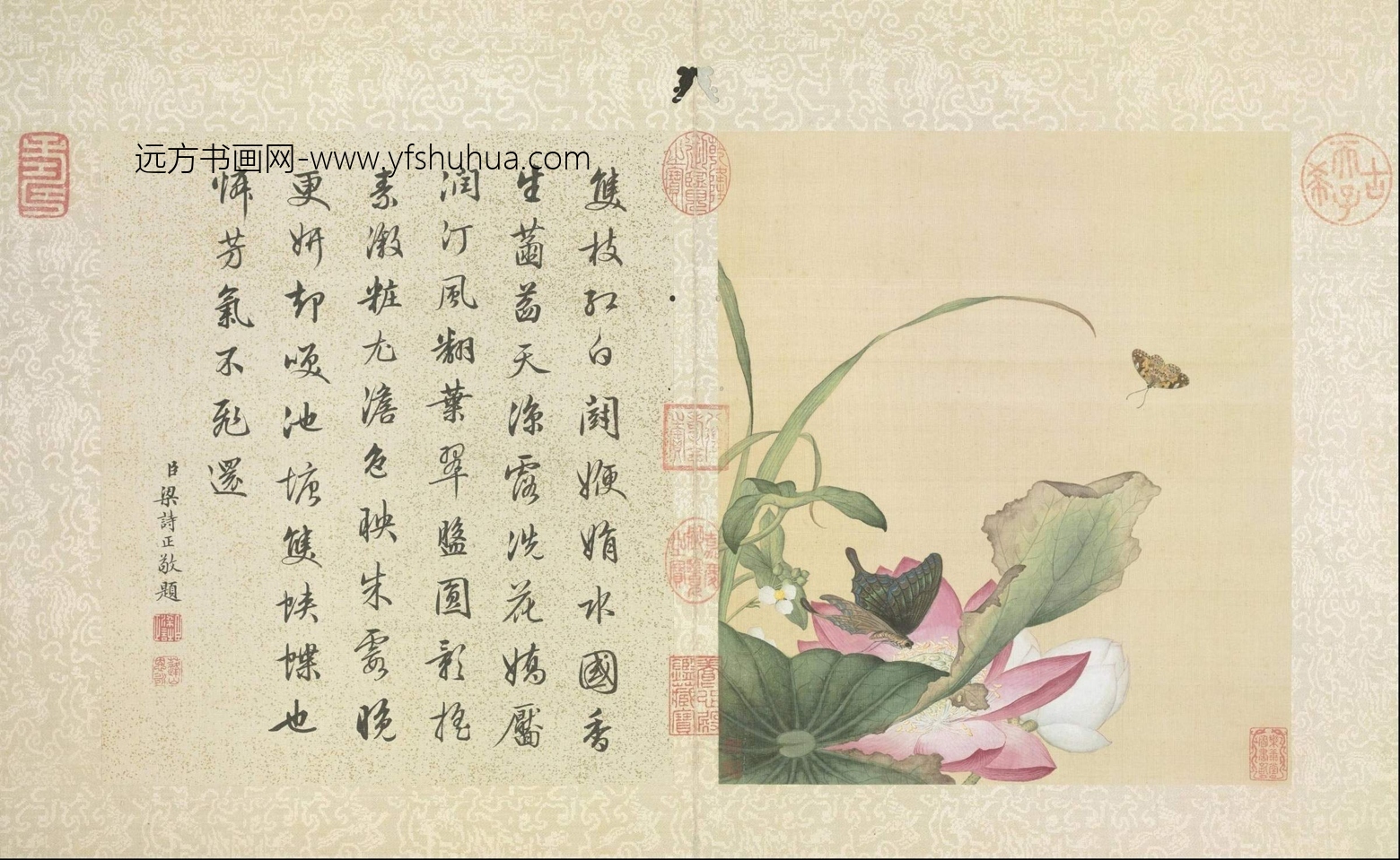 花鸟册（9开）-6