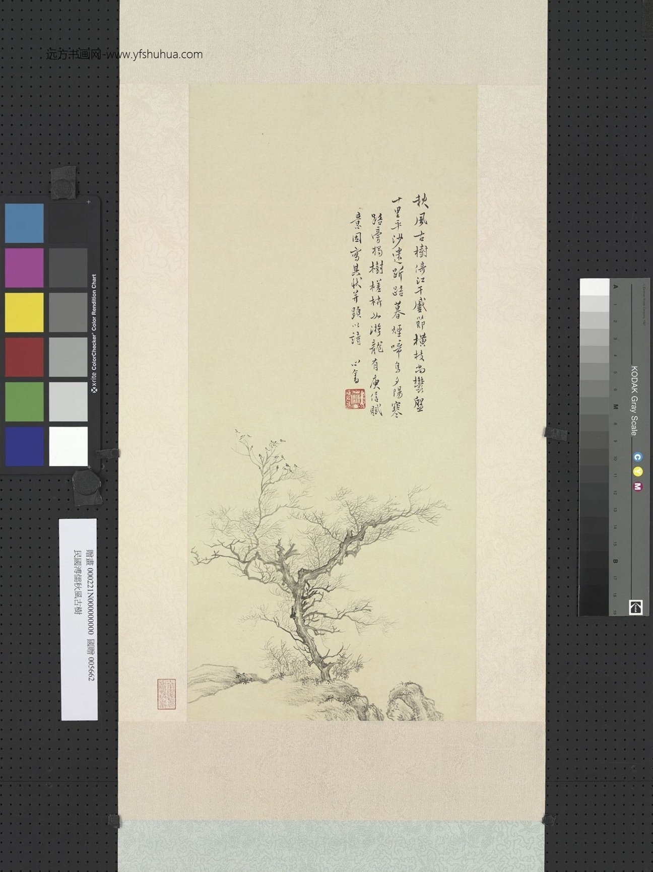 近现代_溥儒_秋风古树图