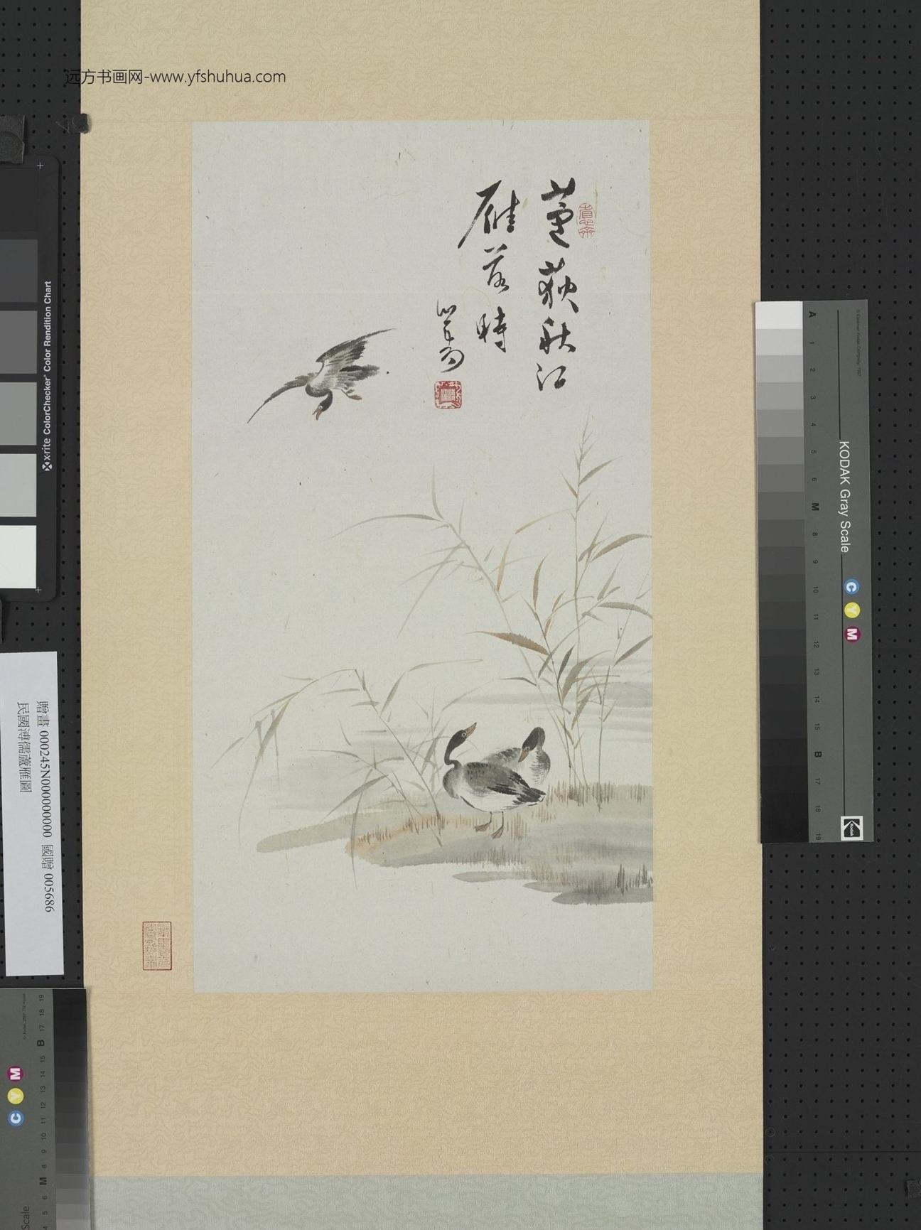 近现代_溥儒_芦雁图