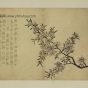 金农_花卉图册 (1)