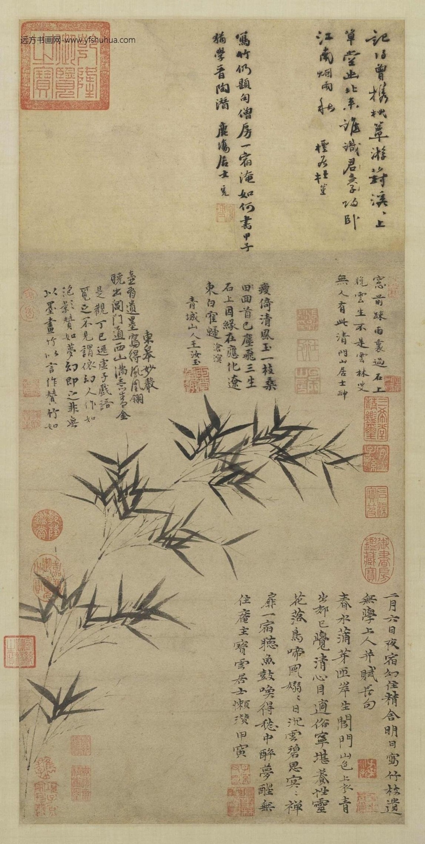 元_倪瓒_修竹图
