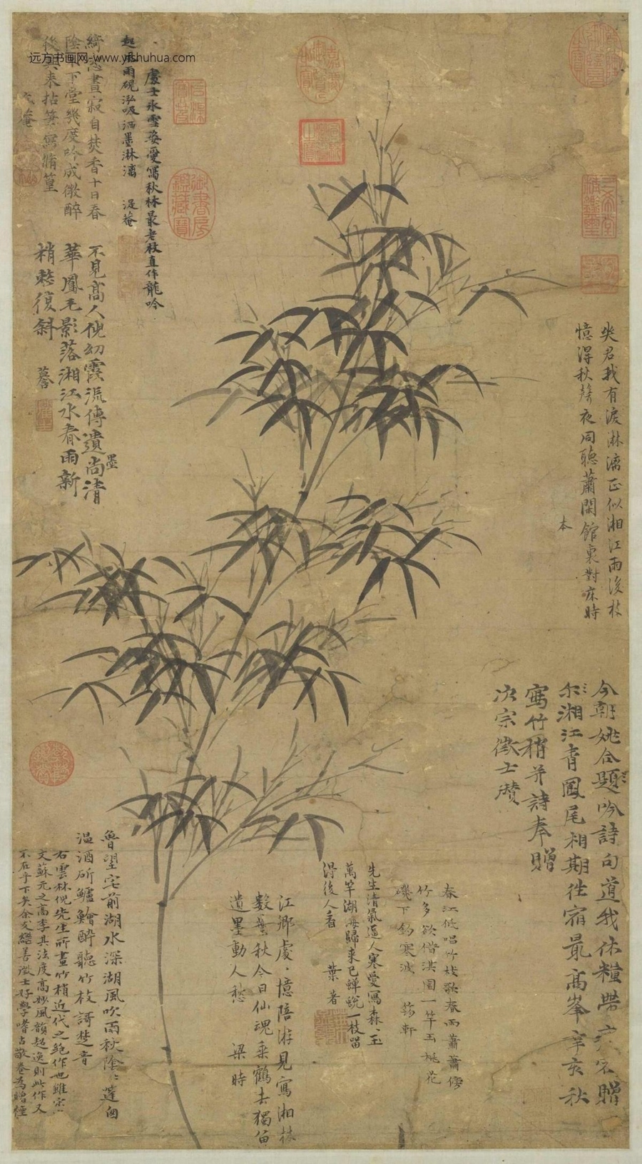 元_倪瓒_春雨新篁图