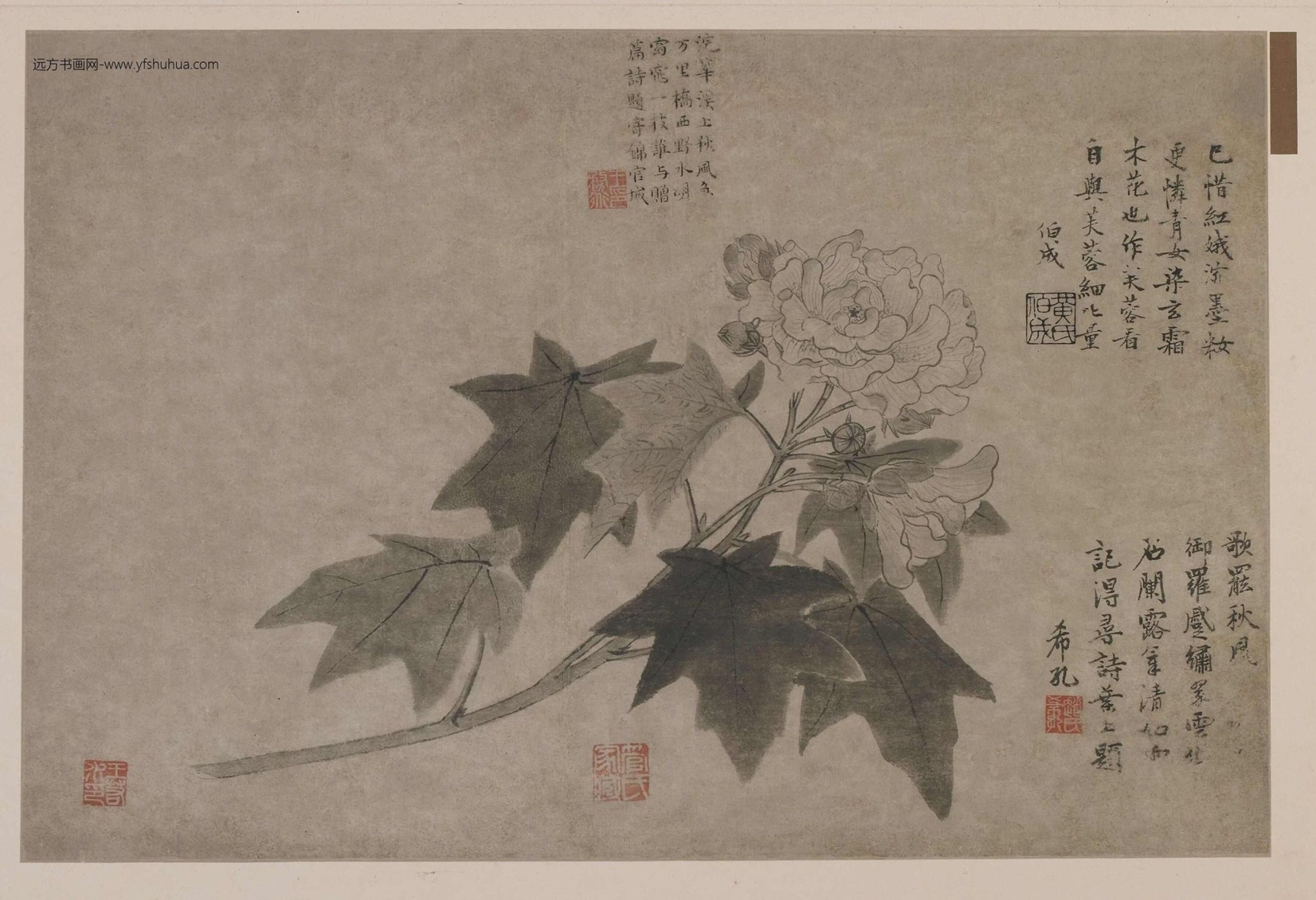 元_王渊_芙蓉花图 元_王渊_芙蓉花图