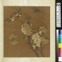 元朝代【王渊】《花卉册-桃花碧桃花》台北故宫博物院TIF高清大图中国画古画素材