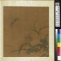 元朝代【王渊】《花卉册-鸭跖草》台北故宫博物院TIF高清大图中国画古画素材