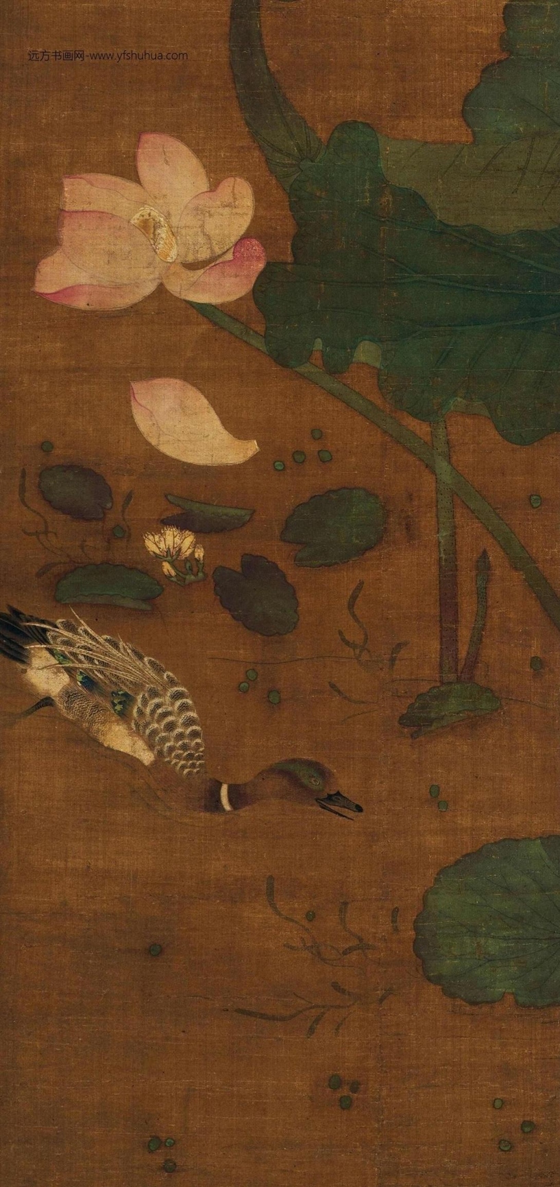 元_王渊_莲池水禽图对轴一