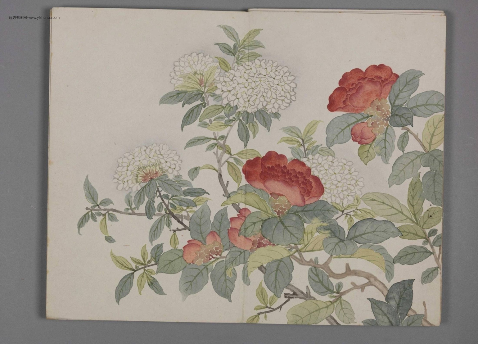 延春荟彩图册（10开）-5