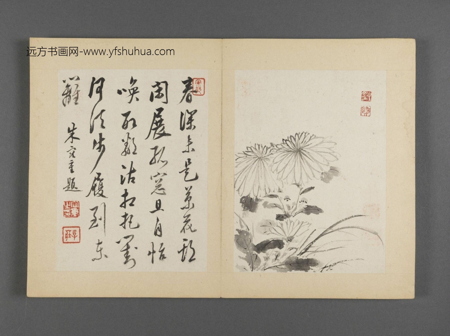 清-朱耷-杂画册-1（8开）-3