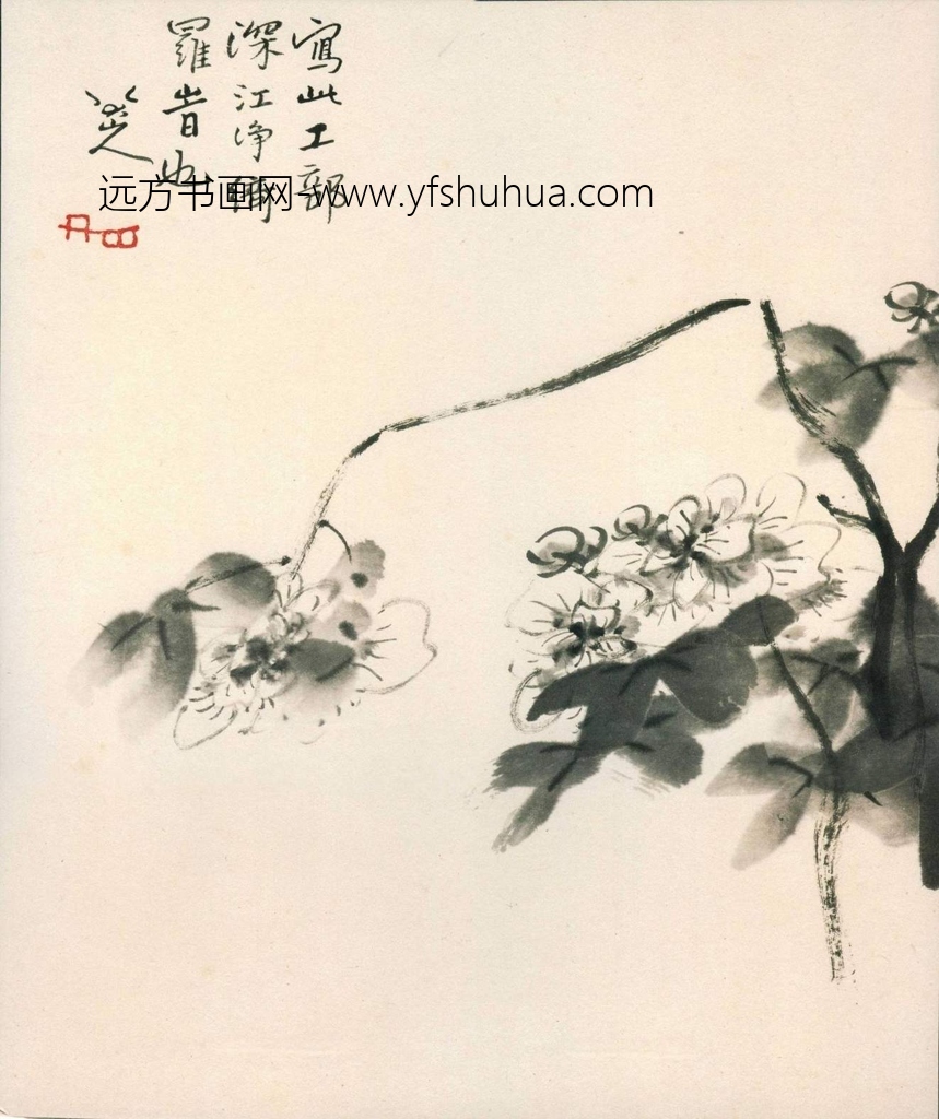 清_朱耷_花鸟册_5 清_朱耷_花鸟册_5