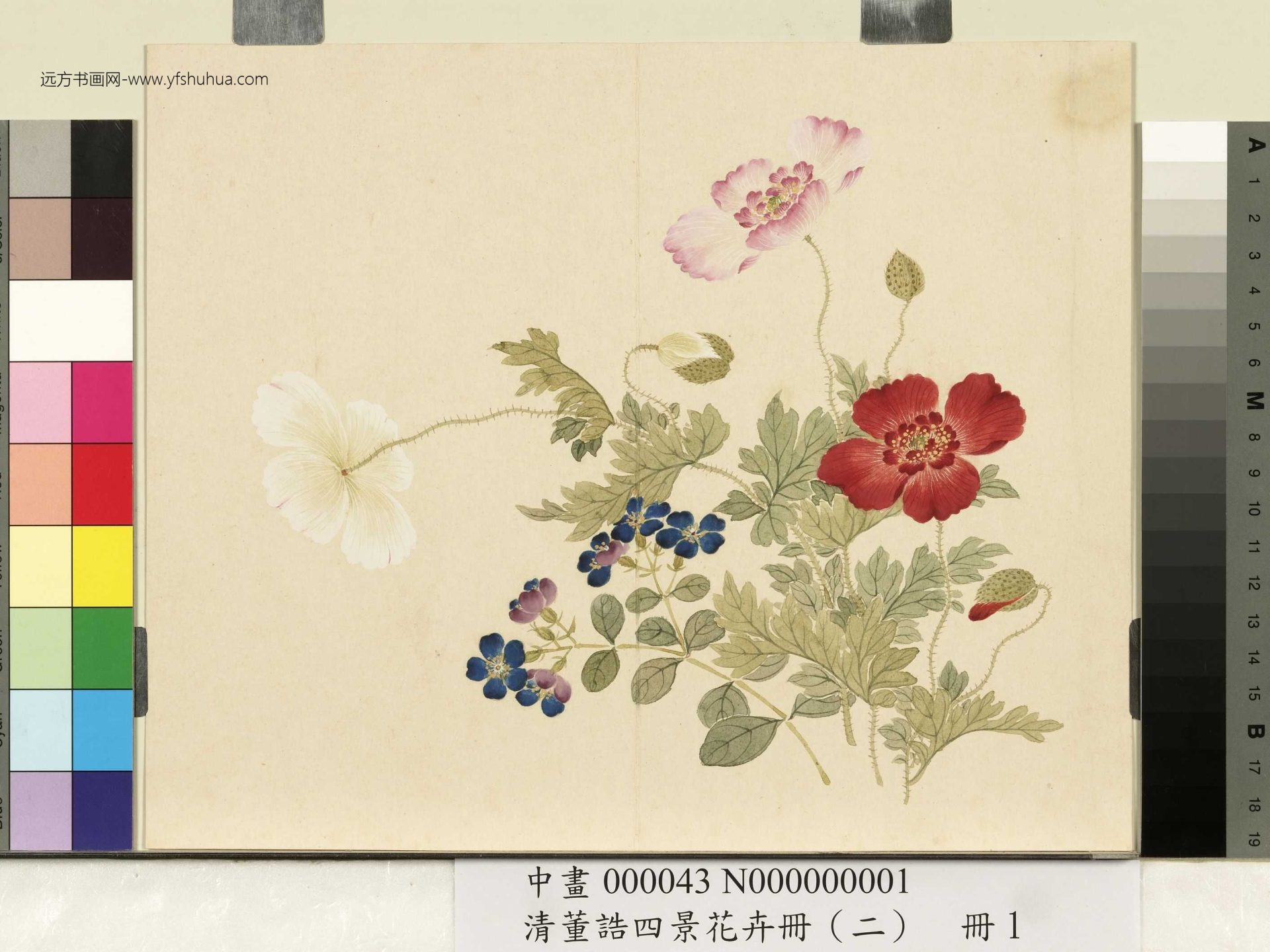 清_董诰_四景花卉册（二）册_0