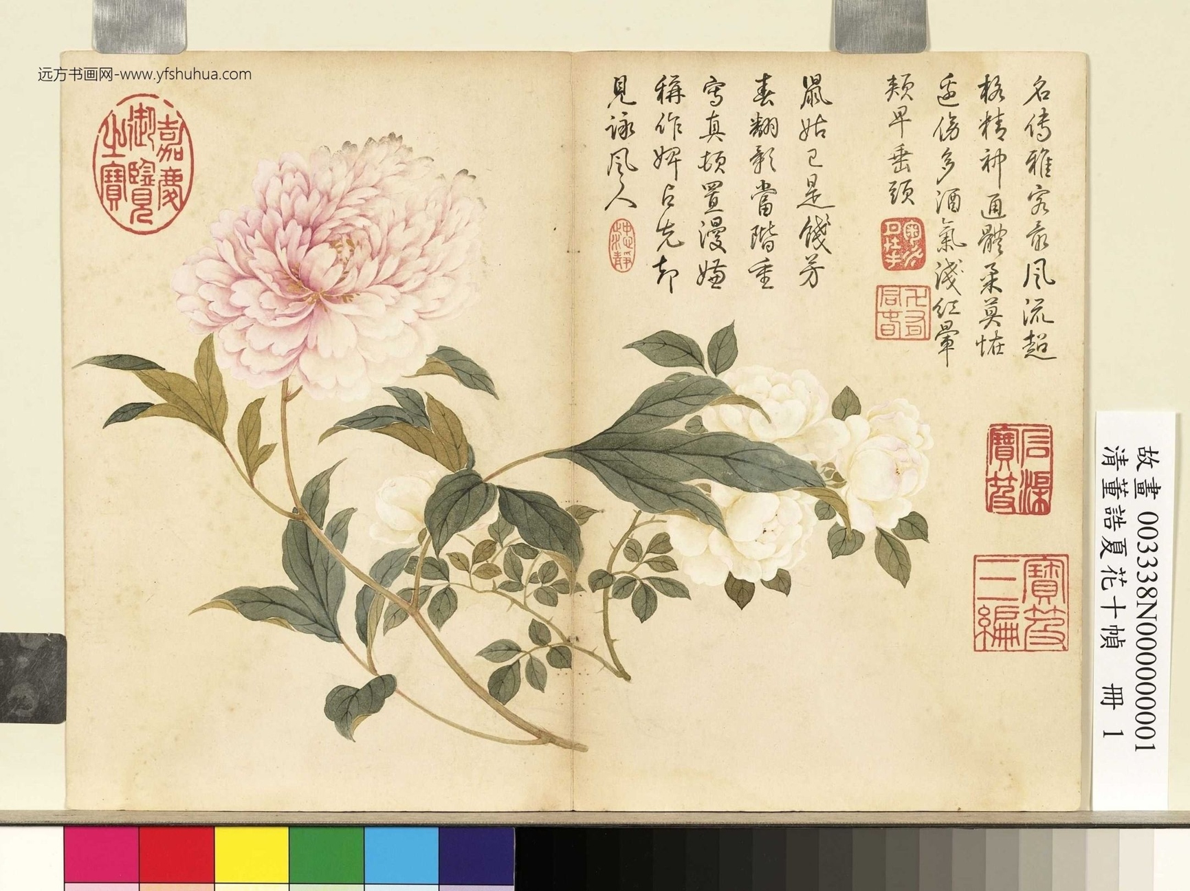 清_董诰_夏花十帧册图_0