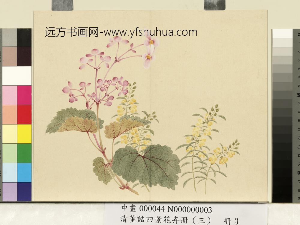 清_董诰四景花卉（三）册秋景花卉之三