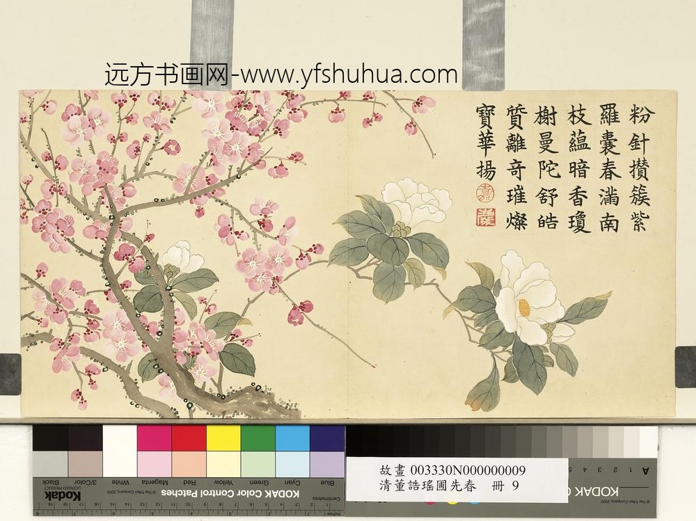 清董诰瑶圃先春-册-红梅栀子花 清董诰瑶圃先春-册-红梅栀子花