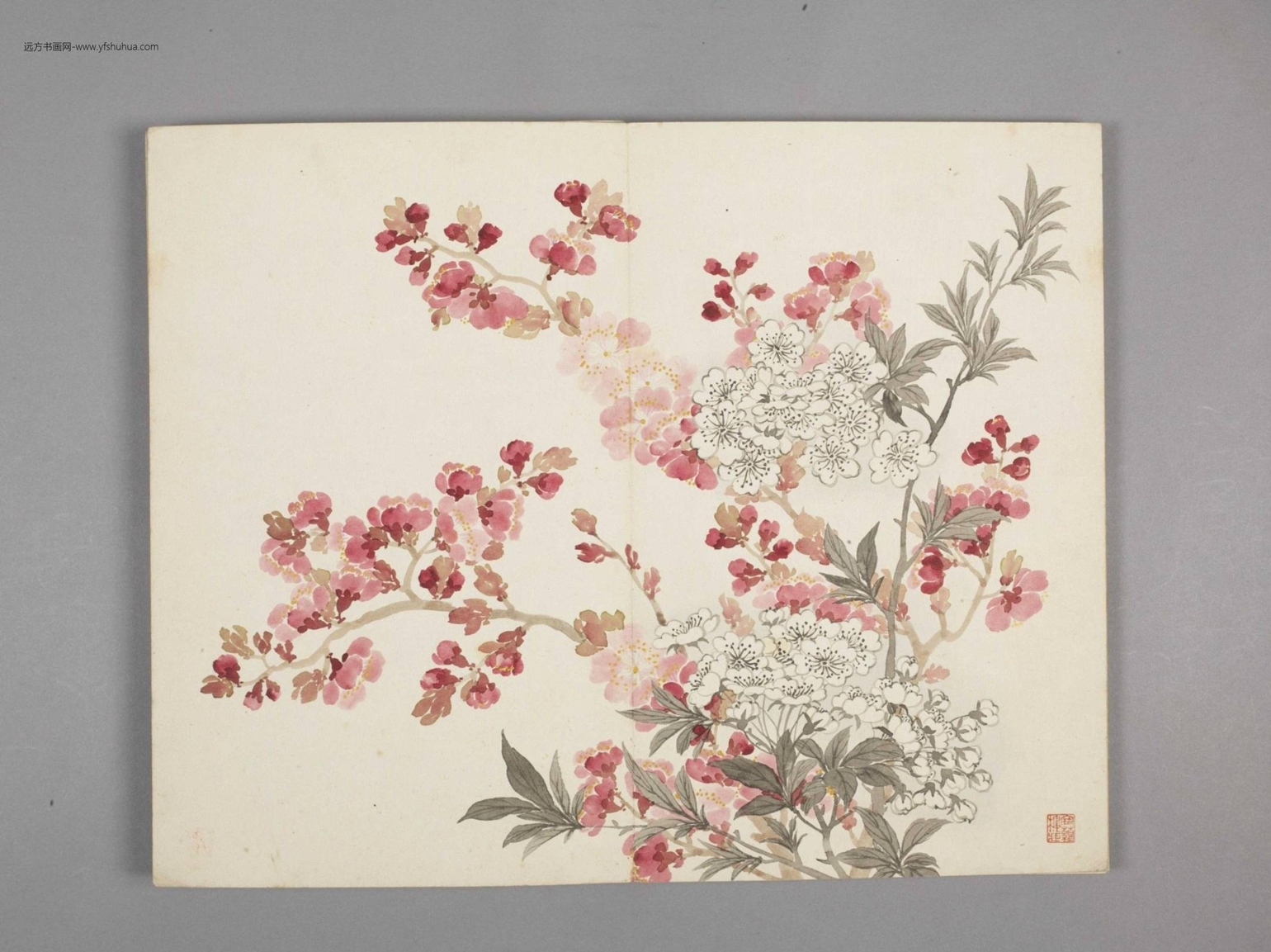绚锦胪芳图册（10开）-1