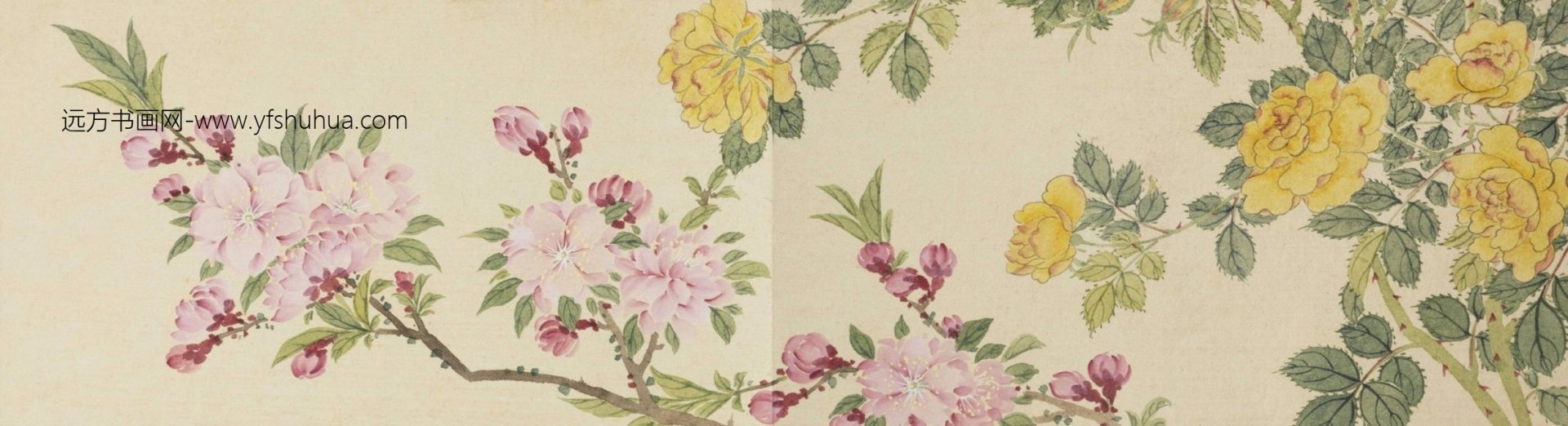花卉册-1（8开）-3