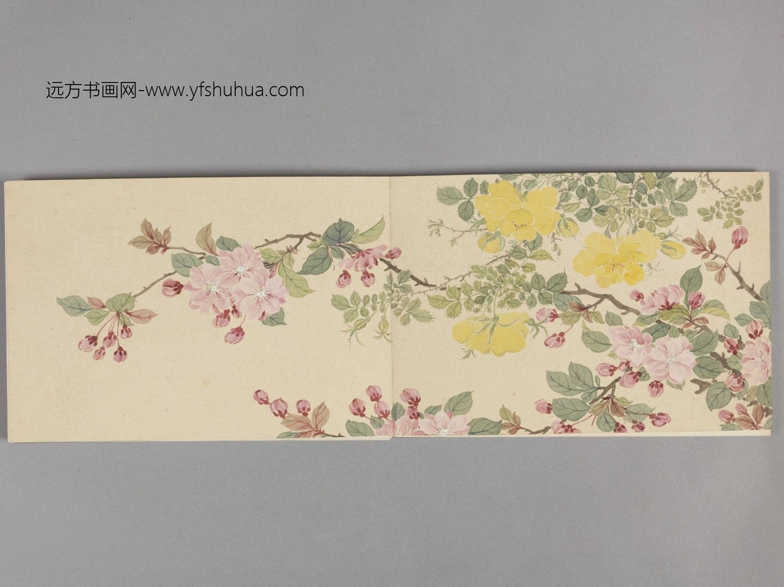 花卉册（8开）-1