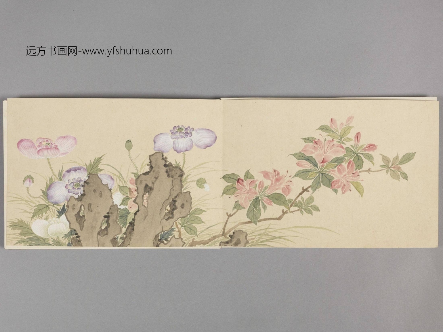花卉册（8开）-3
