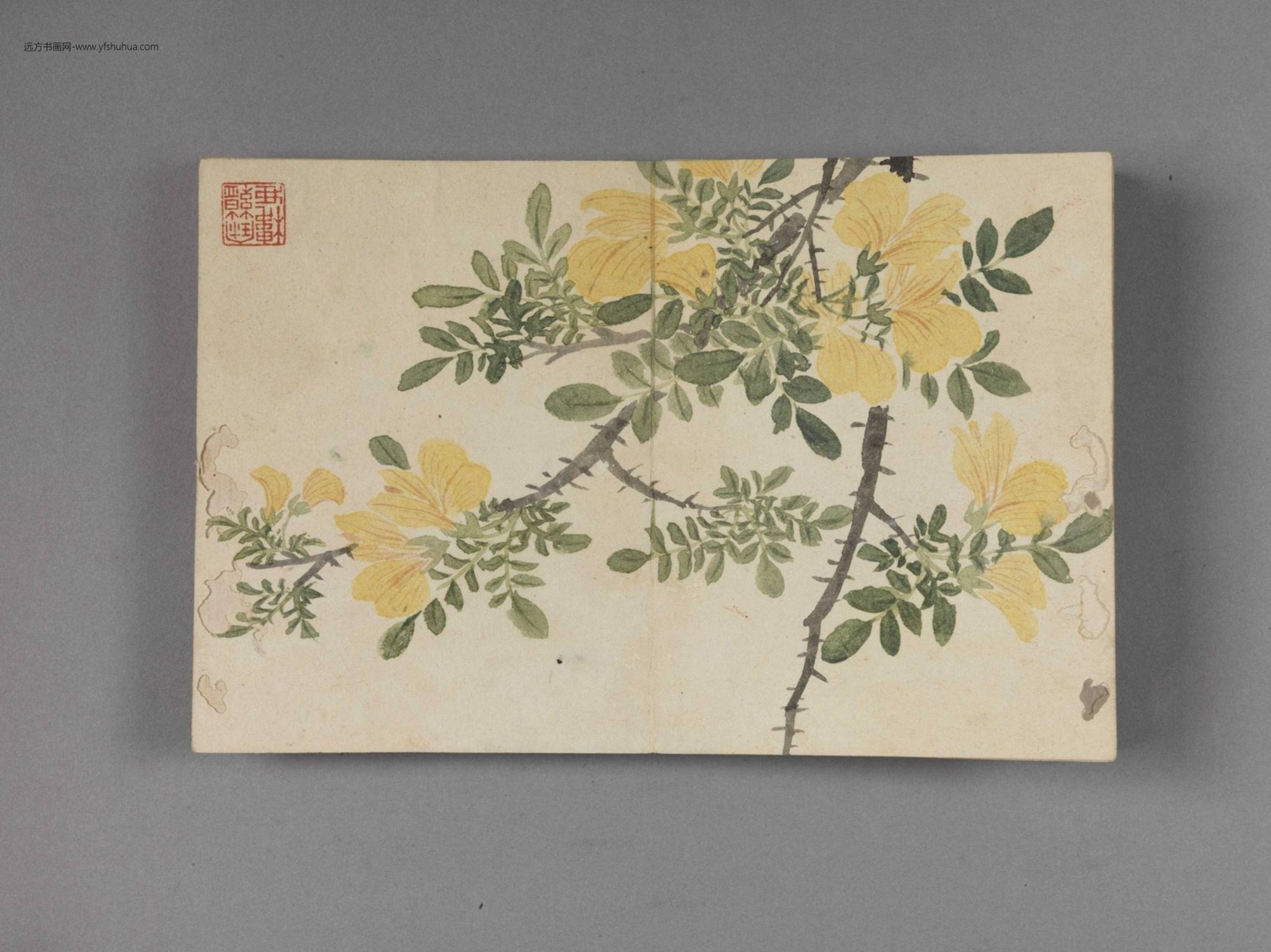 花卉图册（8开）-1