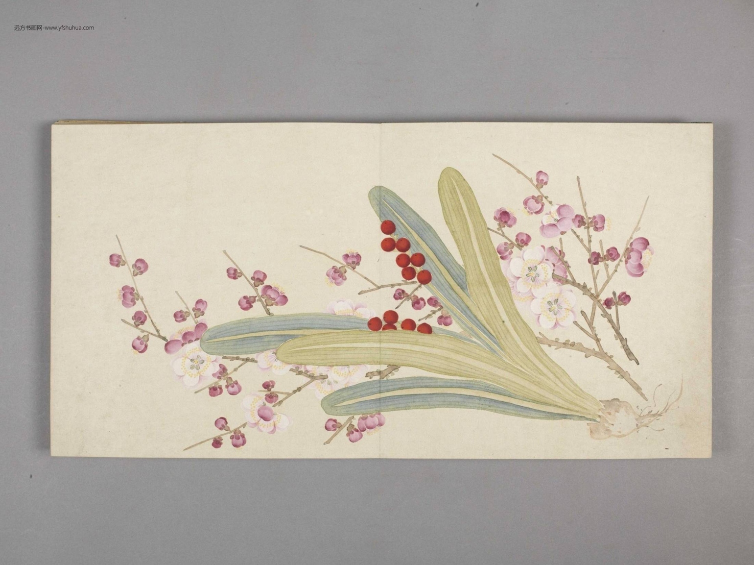 花卉小册（11开）-1