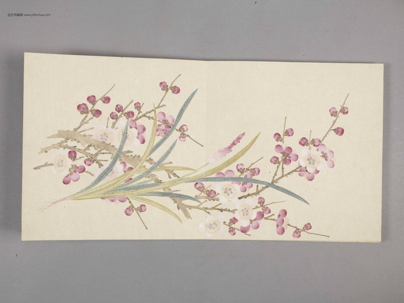 花卉小册（11开）-9