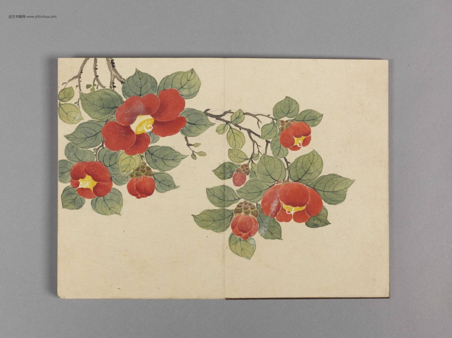 花卉小册（16开）-1