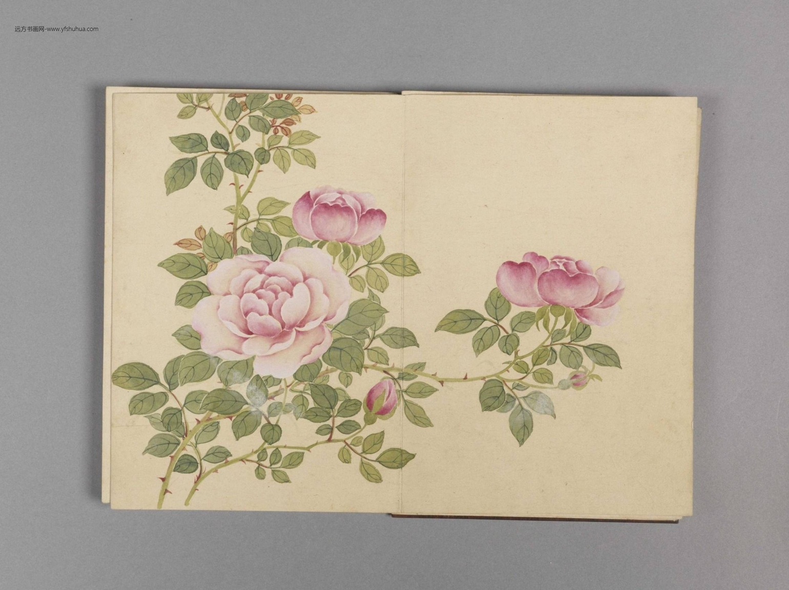 花卉小册（16开）-10
