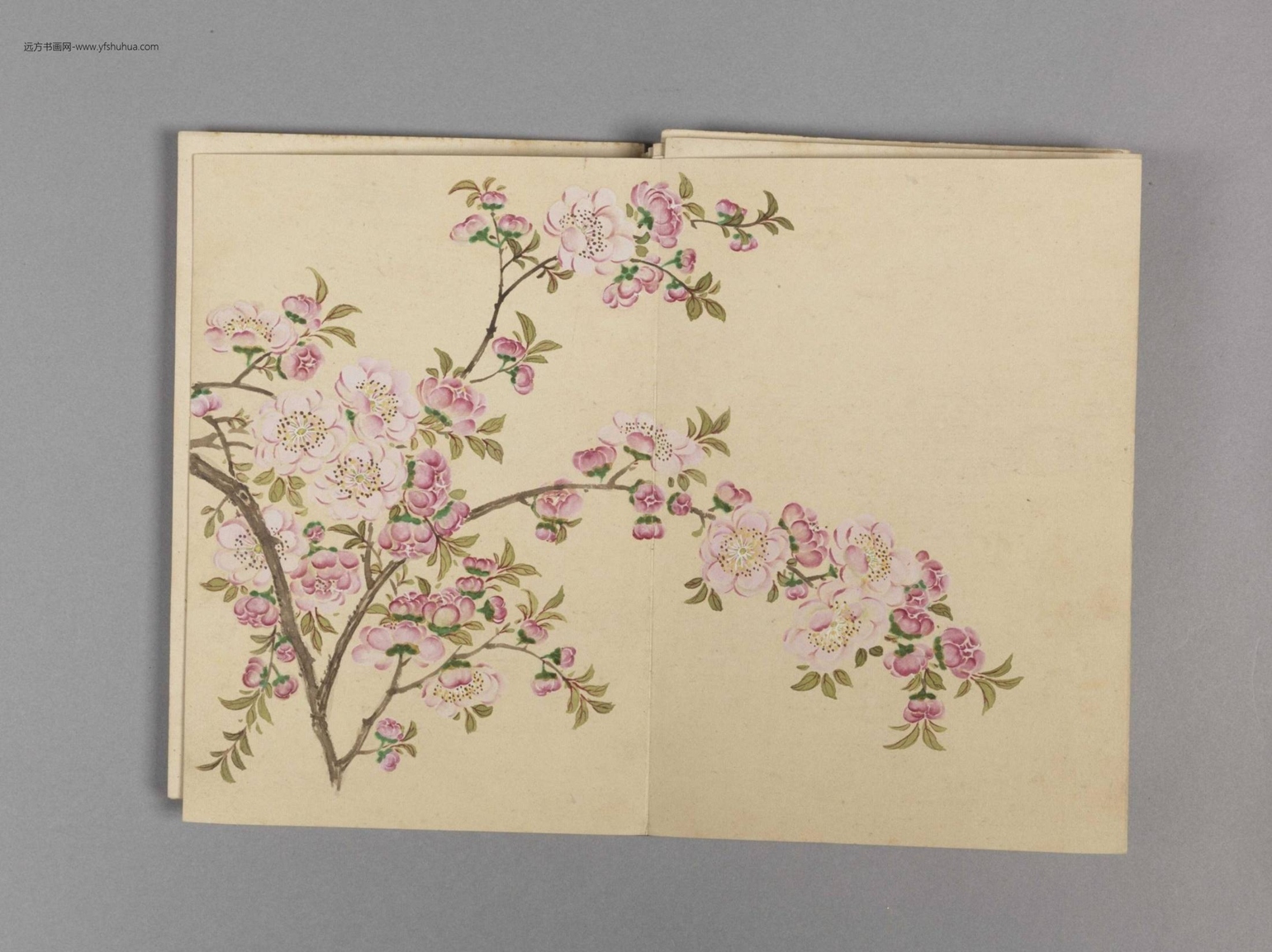 花卉小册（16开）-14