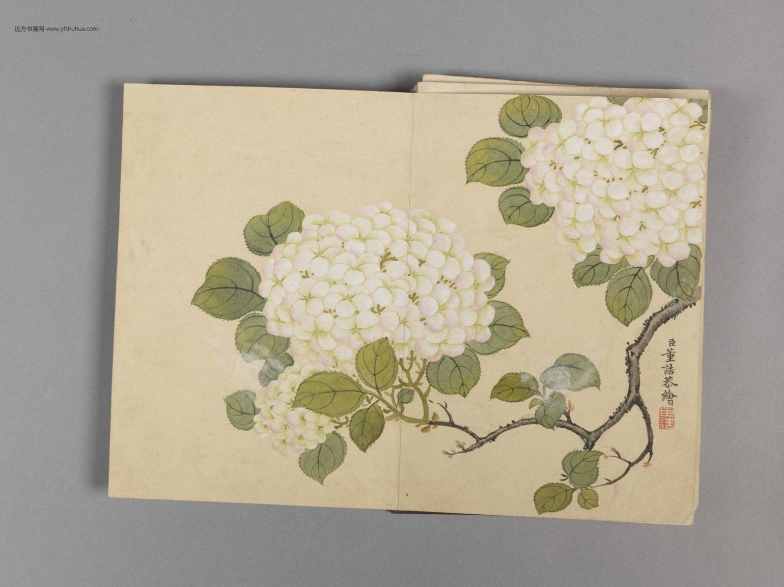 花卉小册（16开）-16