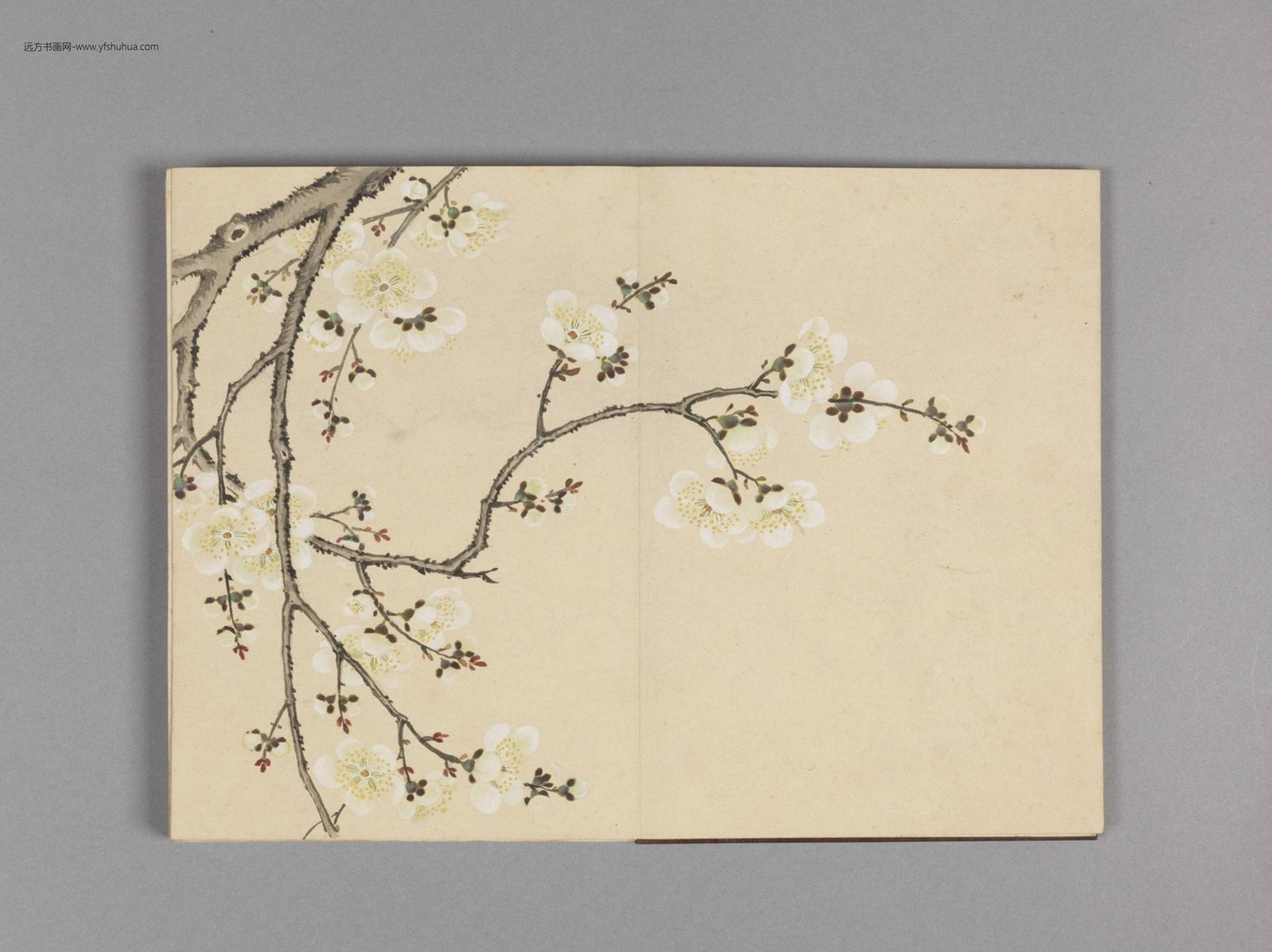 花卉小册（16开）-2
