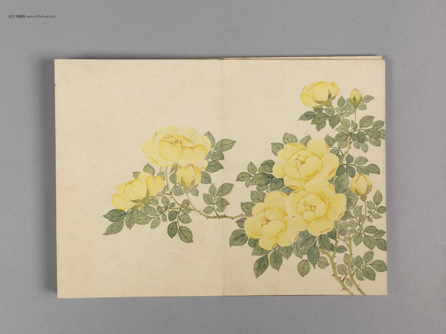 花卉小册（16开）-3
