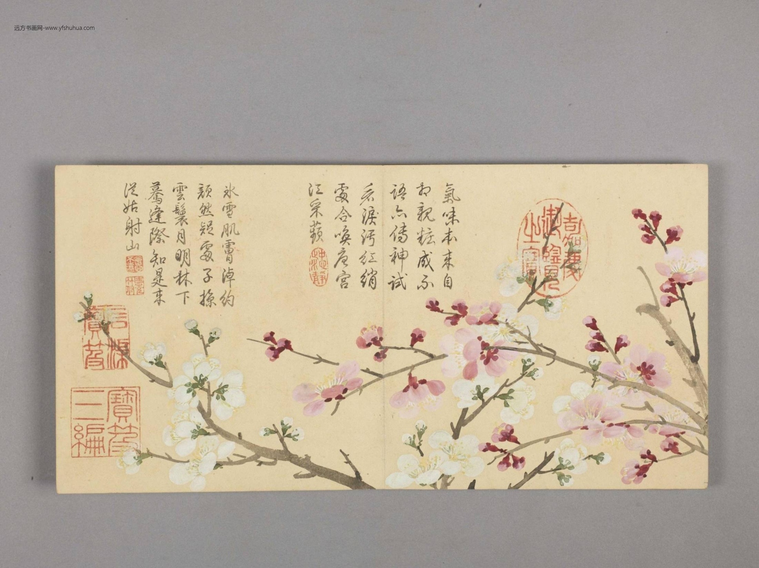 花卉小册（4开）-1