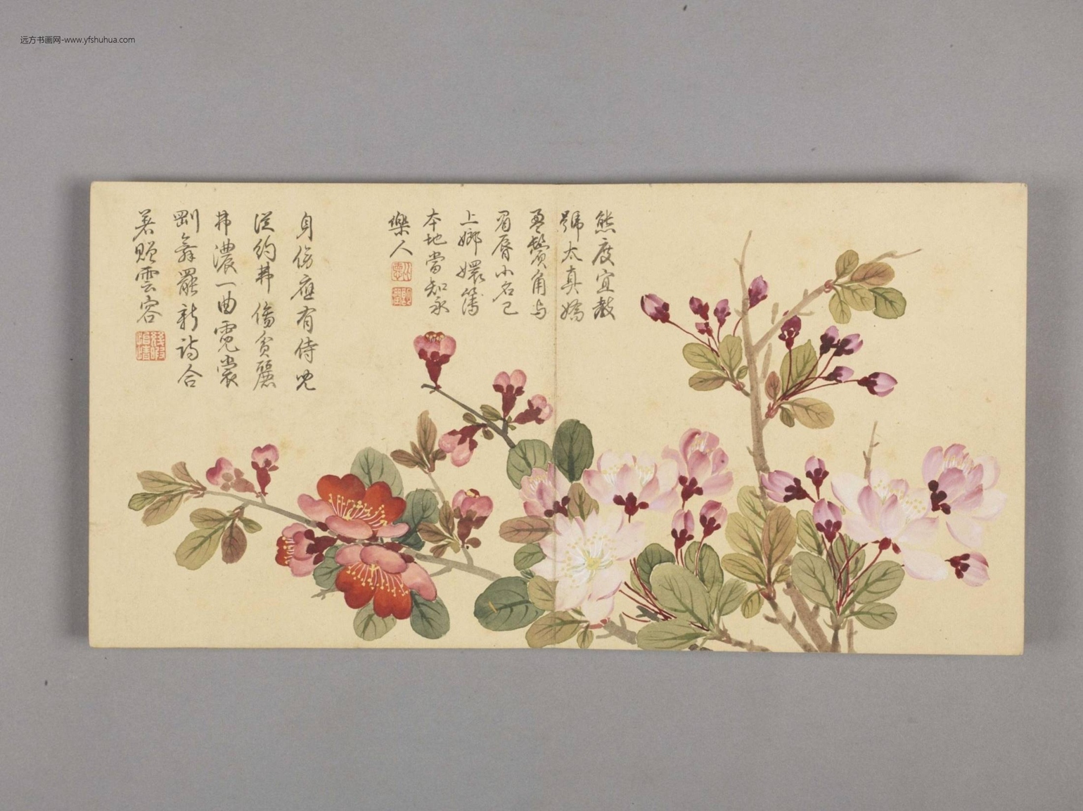 花卉小册（4开）-2