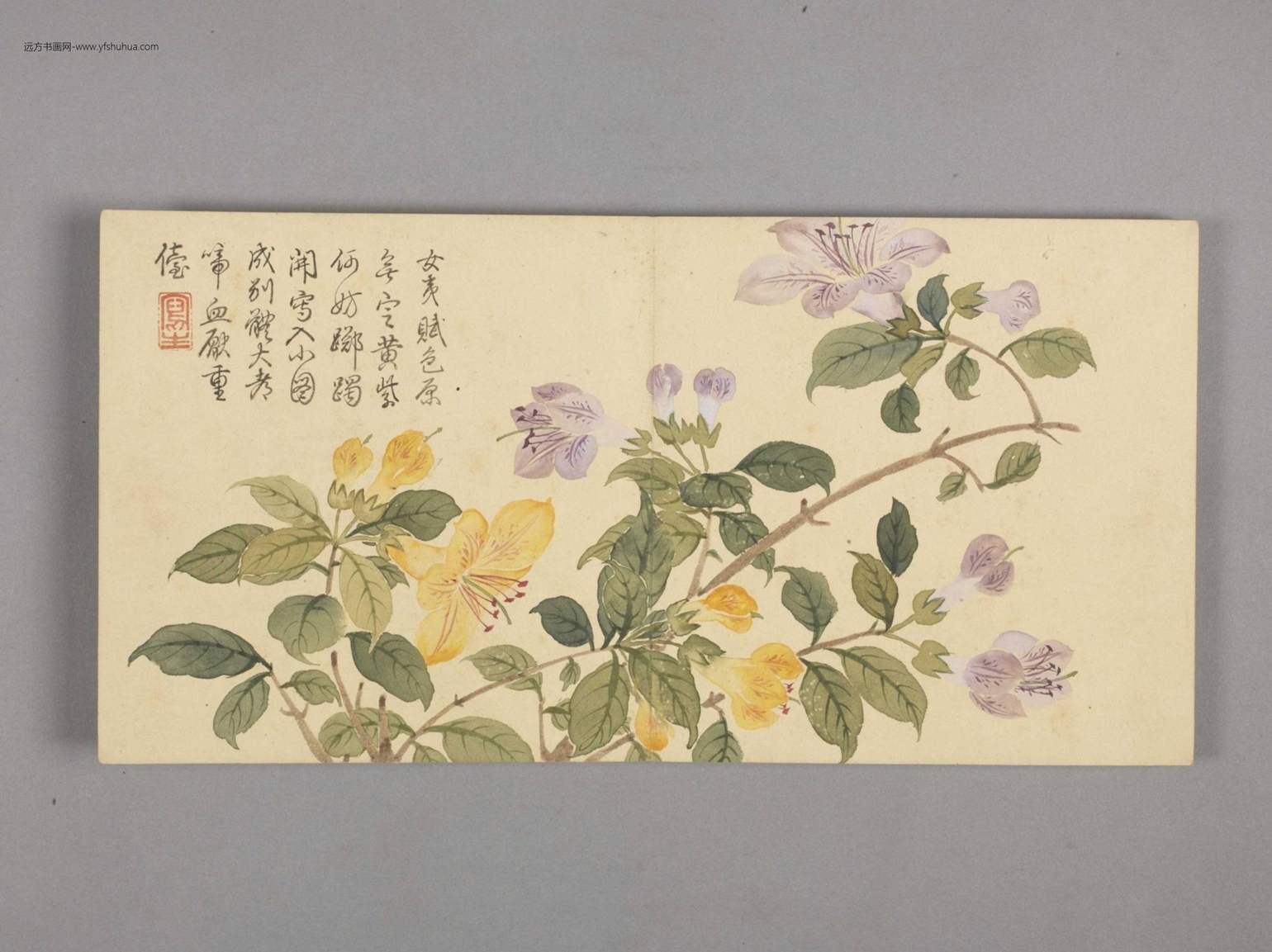 花卉小册（4开）-3