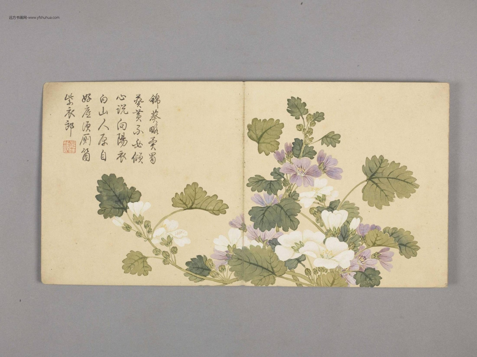 花卉小册（4开）-4
