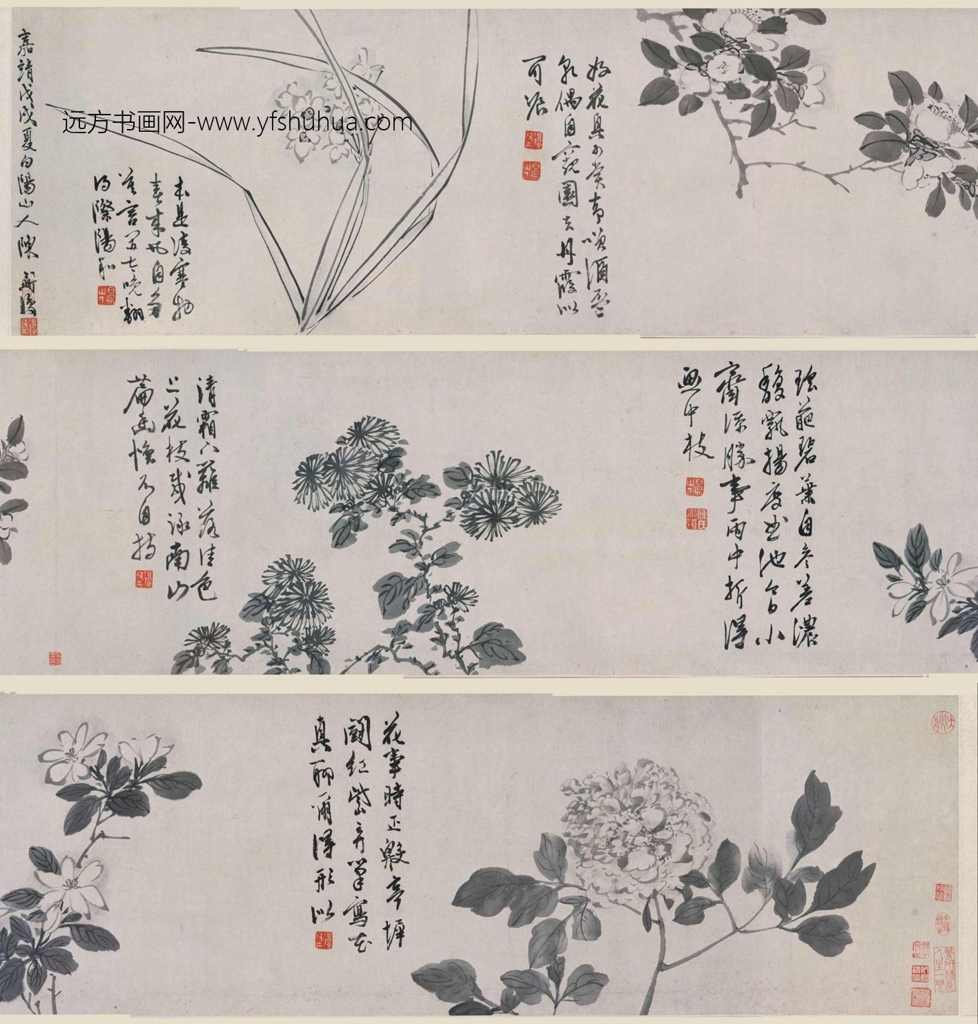 明朝代【陈淳】《花卉图-1》上海博物馆TIF高清大图中国画古画素材  