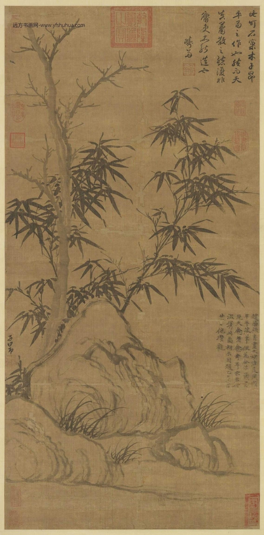 元_赵孟頫_窠木竹石图